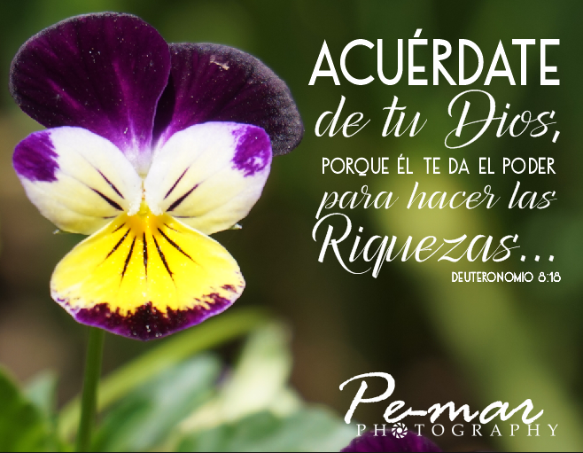 2016-08-15-13_35_44-coreldraw-x8-64-bit-c__users_pedrito_desktop_pemar_agilizadores_afiches-pe-m