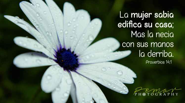 agilizadores-2