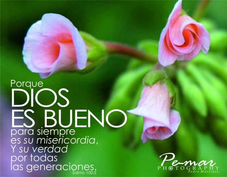 dios-es-bueno2