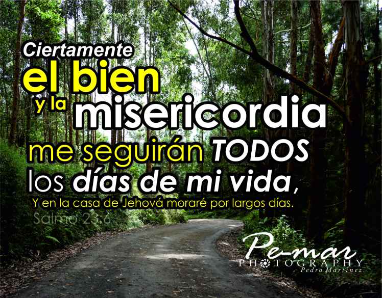 el-bien-y-la-misericordia