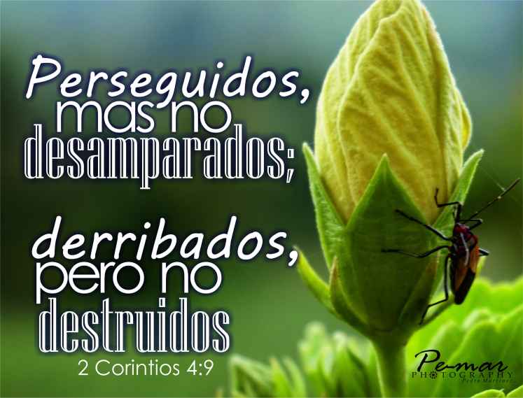 no-destruidos